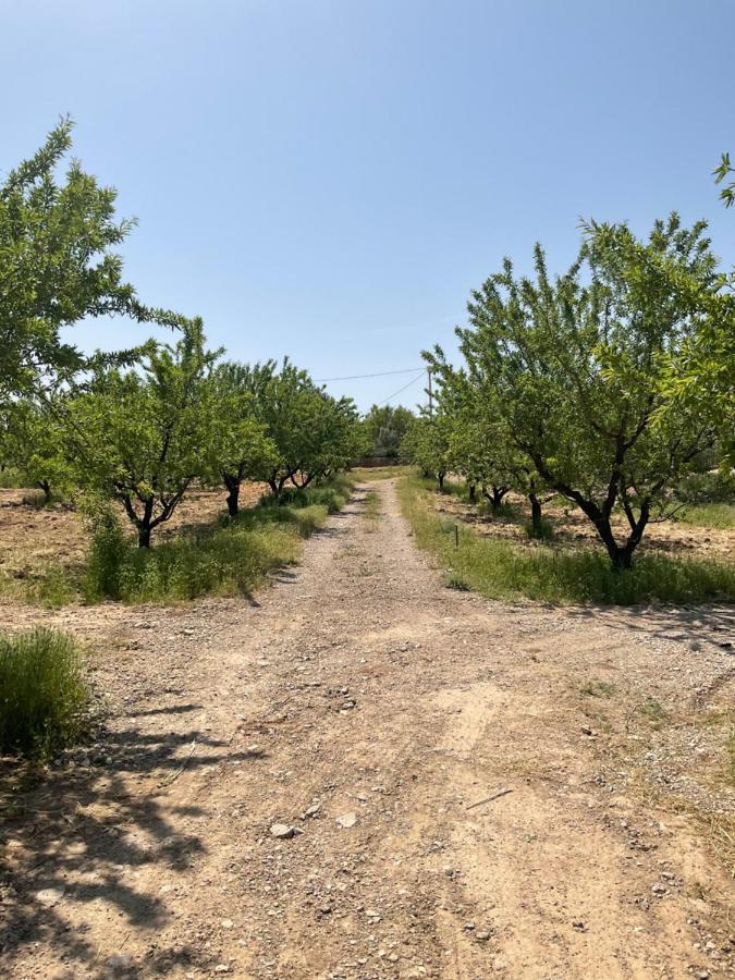 Ricote La Antigua Casa Del Astronomo Casa Rural מראה חיצוני תמונה