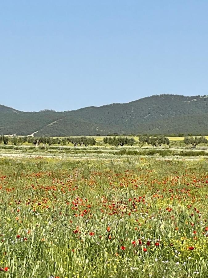 Ricote La Antigua Casa Del Astronomo Casa Rural מראה חיצוני תמונה