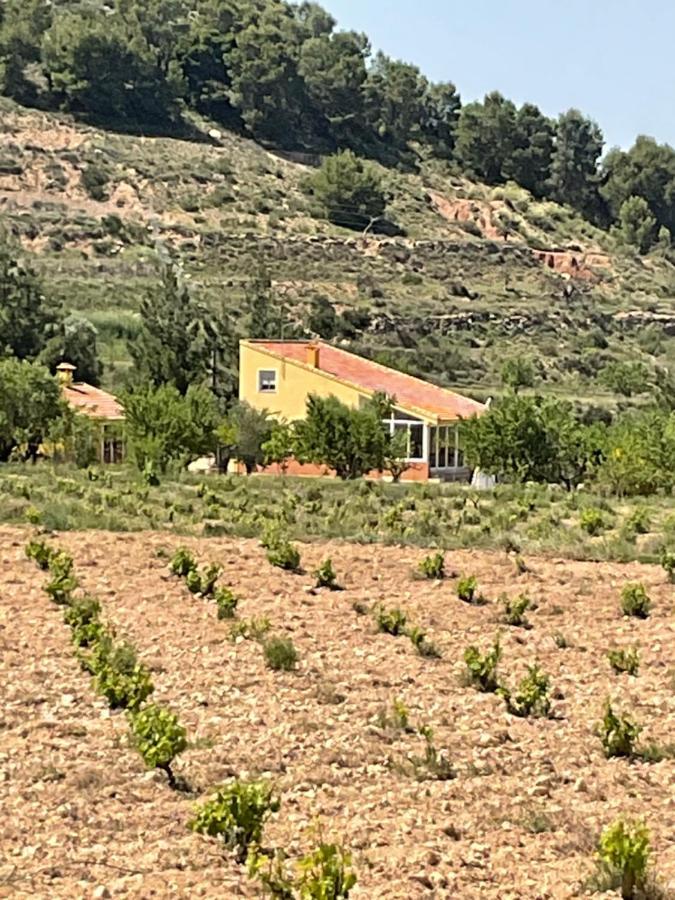 Ricote La Antigua Casa Del Astronomo Casa Rural מראה חיצוני תמונה