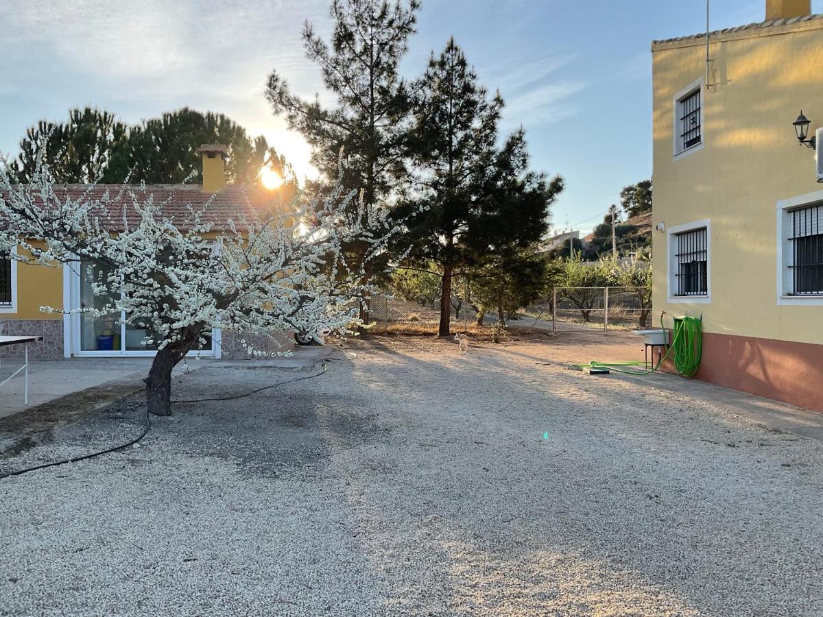 Ricote La Antigua Casa Del Astronomo Casa Rural מראה חיצוני תמונה