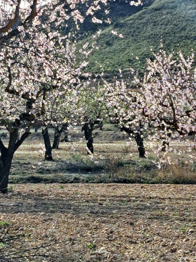 Ricote La Antigua Casa Del Astronomo Casa Rural מראה חיצוני תמונה